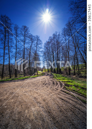 Forest view to the rural countryside in spring 39617445