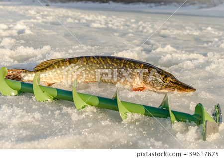 Winter fishing from the ice Winter fishing from the ice 39617675