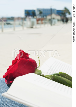 red rose and book for Saint George Day red rose and book for Saint George Day 39617855