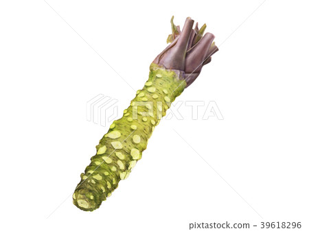Wasabi 39618296