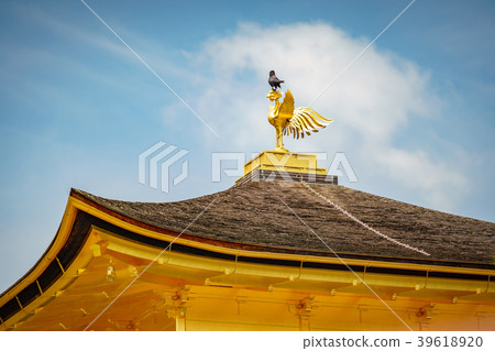 Crow on top of Golden pavilion temple Crow on top of Golden pavilion temple 39618920