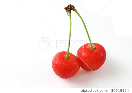 Cherry Sato Nishiki 39619134