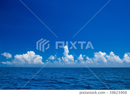 tropical beach tropical beach 39623908