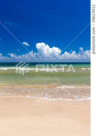 beach and tropical sea beach and tropical sea 39623912