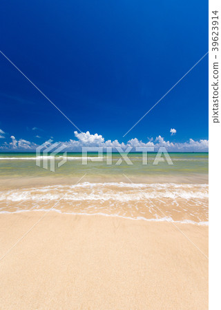 beach and tropical sea beach and tropical sea 39623914