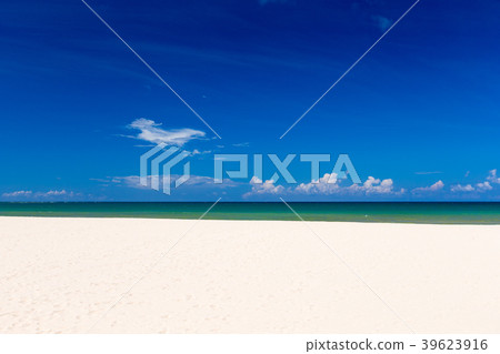 beach and tropical sea beach and tropical sea 39623916
