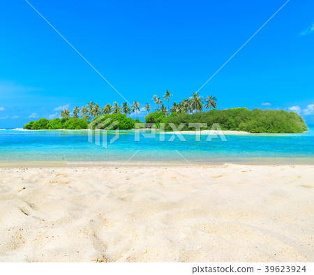 sand of beach sand of beach 39623924