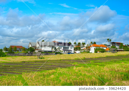 Villa rice field Bali Indonesia 39624420