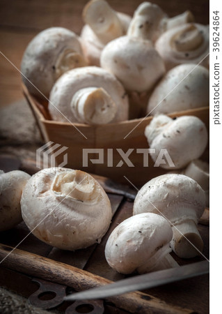 Freshly harvested mushrooms. Freshly harvested mushrooms. 39624864