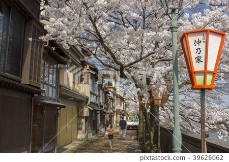 櫻桃樹在主要城鎮 39626062