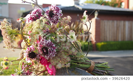 西邊的花束。大花scabiosa和Hime Mizuki 西邊的花束。大花scabiosa和Hime Mizuki 39626420