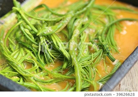 Acacia pennata with egg Acacia pennata with egg 39626628