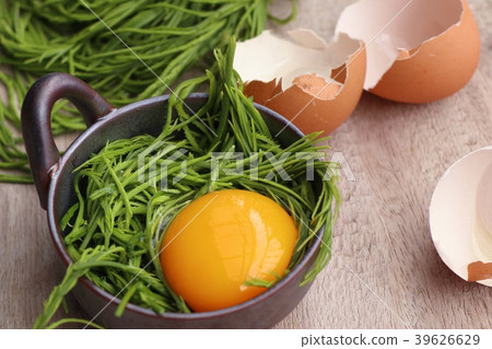 Acacia pennata with egg 39626629