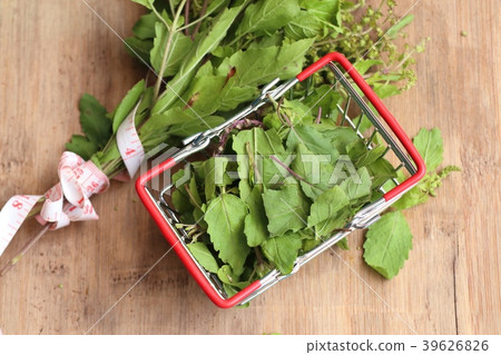 Herb fresh basil vegetables Herb fresh basil vegetables 39626826