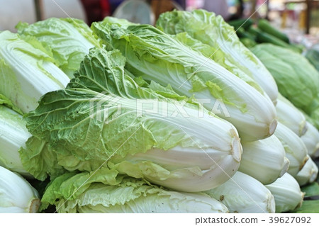 Chinese cabbage at market Chinese cabbage at market 39627092