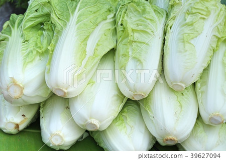 Chinese cabbage at market Chinese cabbage at market 39627094