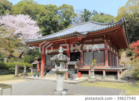 在Shikoku Reijo No. 69方坯'Kanonji'主廳的櫻花 39627540