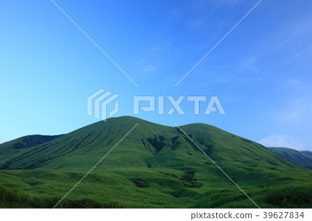 從草編 從草編 39627834