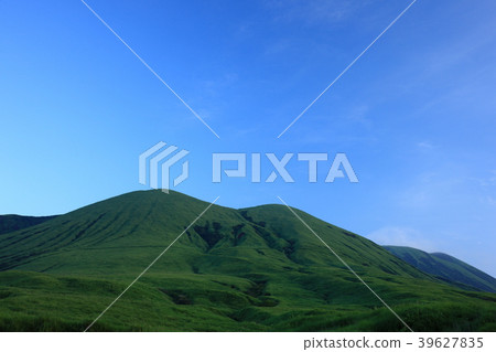 從草編 從草編 39627835