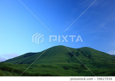 從草編 從草編 39627836