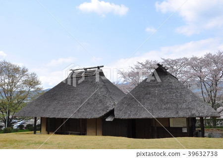 新城櫻淵公園蒲屋私人住宅和盛開的櫻花 新城櫻淵公園蒲屋私人住宅和盛開的櫻花 39632738
