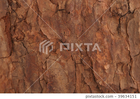 Various microscopic images, the surface of a particular object photography. 256 39634151