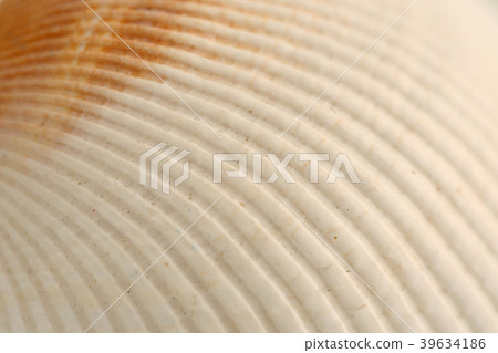 Various microscopic images, the surface of a particular object photography. 267 39634186