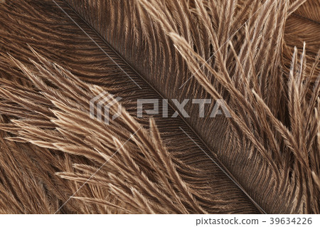 Various microscopic images, the surface of a particular object photography. 241 39634226