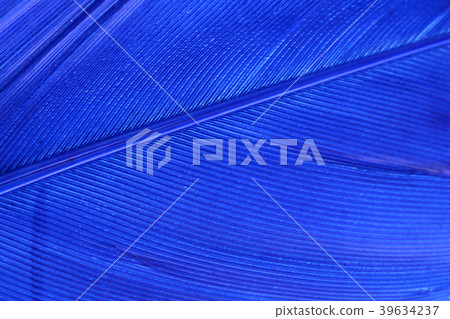Various microscopic images, the surface of a particular object photography. 236 39634237