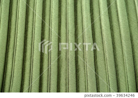 Various microscopic images, the surface of a particular object photography. 220 39634246