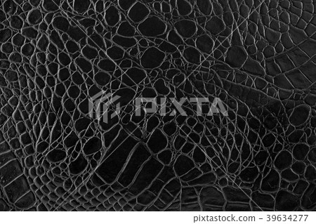 Various microscopic images, the surface of a particular object photography. 153 39634277