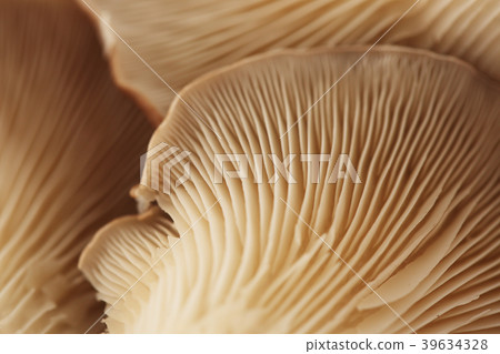 Various microscopic images, the surface of a particular object photography. 094 39634328