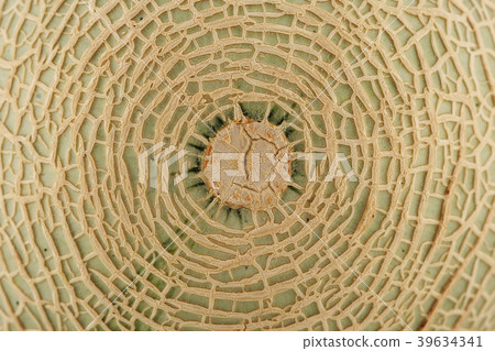 Various microscopic images, the surface of a particular object photography. 084 39634341