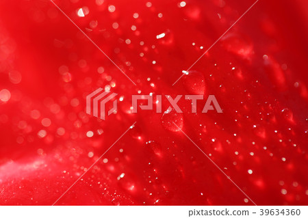 Various microscopic images, the surface of a particular object photography. 066 39634360