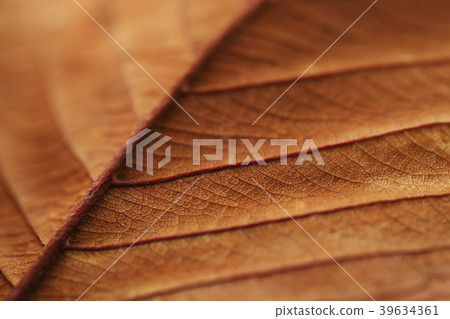 Various microscopic images, the surface of a particular object photography. 071 39634361
