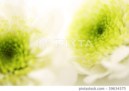 Various microscopic images, the surface of a particular object photography. 048 39634375