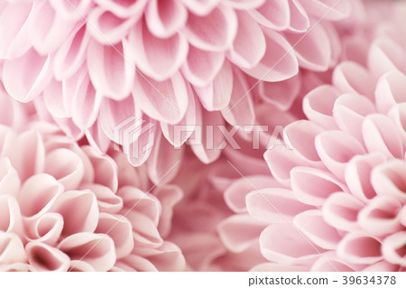 Various microscopic images, the surface of a particular object photography. 030 39634378