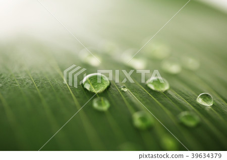 Various microscopic images, the surface of a particular object photography. 056 39634379