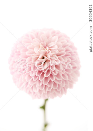 Various microscopic images, the surface of a particular object photography. 004 39634391