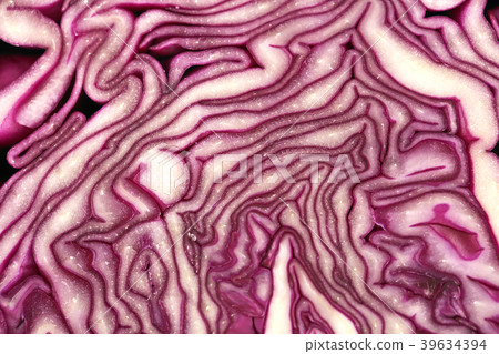 Various microscopic images, the surface of a particular object photography. 033 39634394