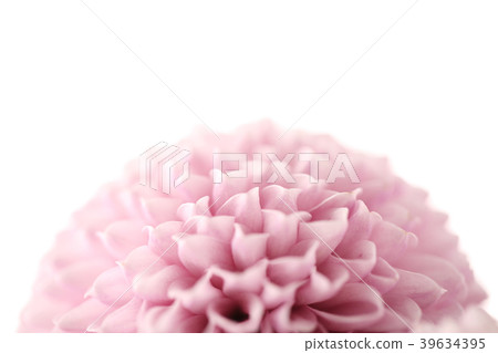 Various microscopic images, the surface of a particular object photography. 051 39634395