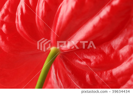 Various microscopic images, the surface of a particular object photography. 003 39634434