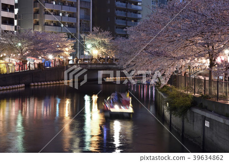 Cherry blossoms on the Ooka River in Yokohama City in the spring of 2018 Cherry blossoms on the Ooka River in Yokohama City in the spring of 2018 39634862