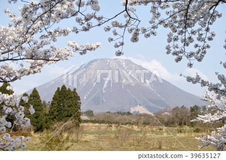 Oyama and Sakura Kobayashi Tottori Prefecture Kobayashi Oyama and Sakura Kobayashi Tottori Prefecture Kobayashi 39635127