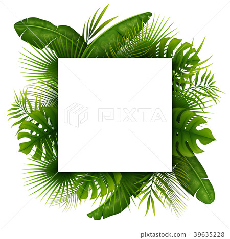 Tropical green leaves with white square frame plac Tropical green leaves with white square frame plac 39635228