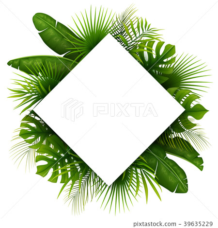 Tropical green leaves with white frame place for t Tropical green leaves with white frame place for t 39635229