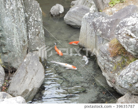 Chiaki Cabinet Garden 39635787