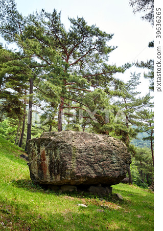 Hwasun dolmen, Hwasun-gun, Jeonnam, Korea 39636265