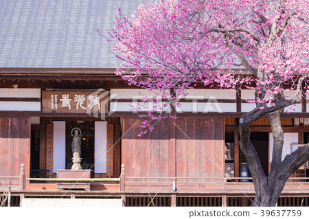 Spring of Kokou city, Yamanashi Prefecture Spring of Kokou city, Yamanashi Prefecture 39637759