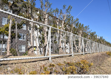 Showa housing complex Fujisawa Shihodo housing complex Showa housing complex Fujisawa Shihodo housing complex 39637840
